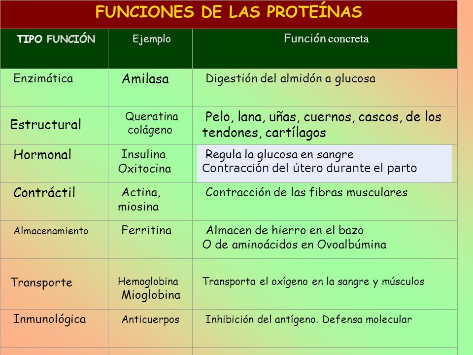Profesionalnye los medios para el cuidado de los cabellos